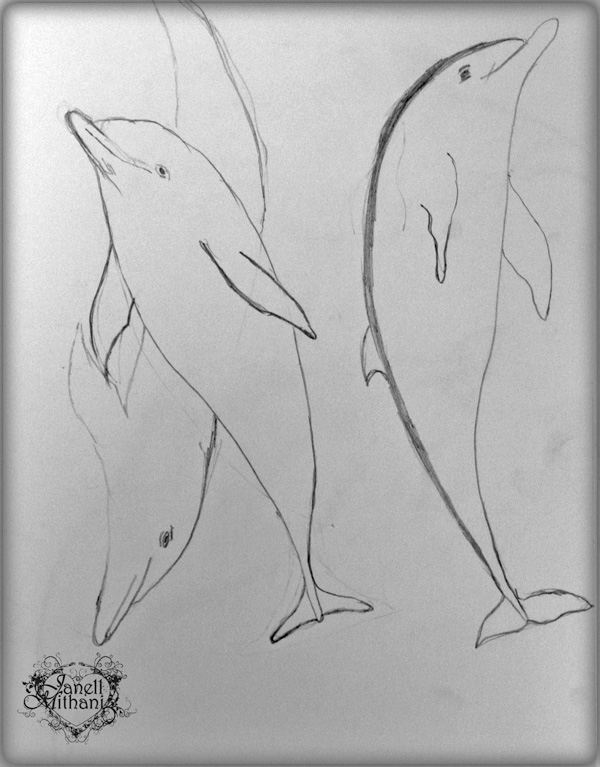 Dolphins2W